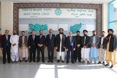 Herat TMV