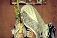 Kudüs / Jerusalem, Jewish Quarter