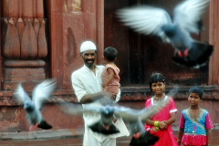 Yeni Delhi / New Delhi