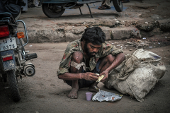 Yeni Delhi / New Delhi