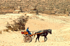 Kahire / Cairo