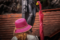 Çeski Krumlov