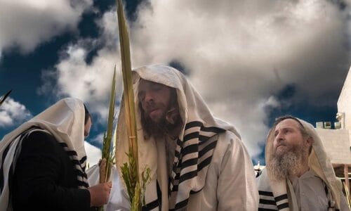 Kudüs, Jerusalem, Al Quds, Jewish Quarter, Wailing Wall, pray, religion